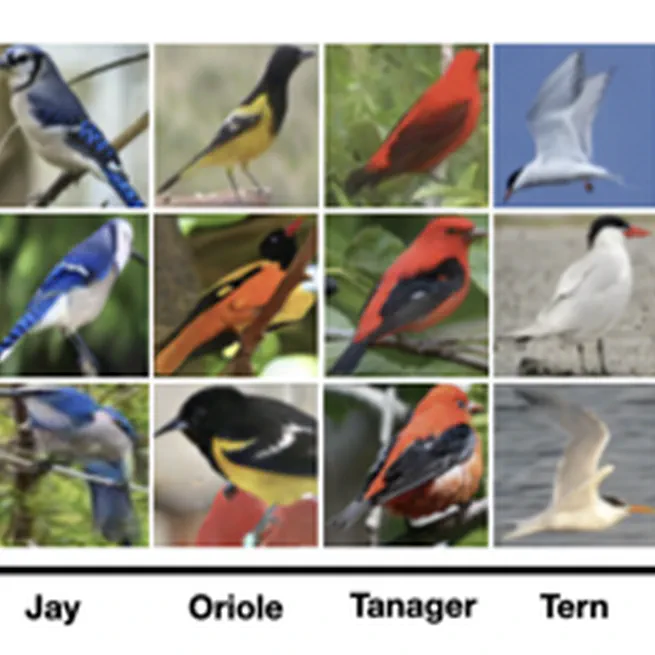 Deep Generative Clustering with Multimodal Diffusion Variational Autoencoders