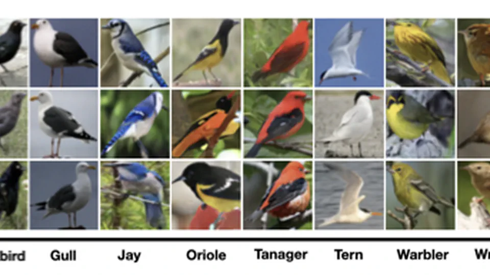 Deep Generative Clustering with Multimodal Diffusion Variational Autoencoders